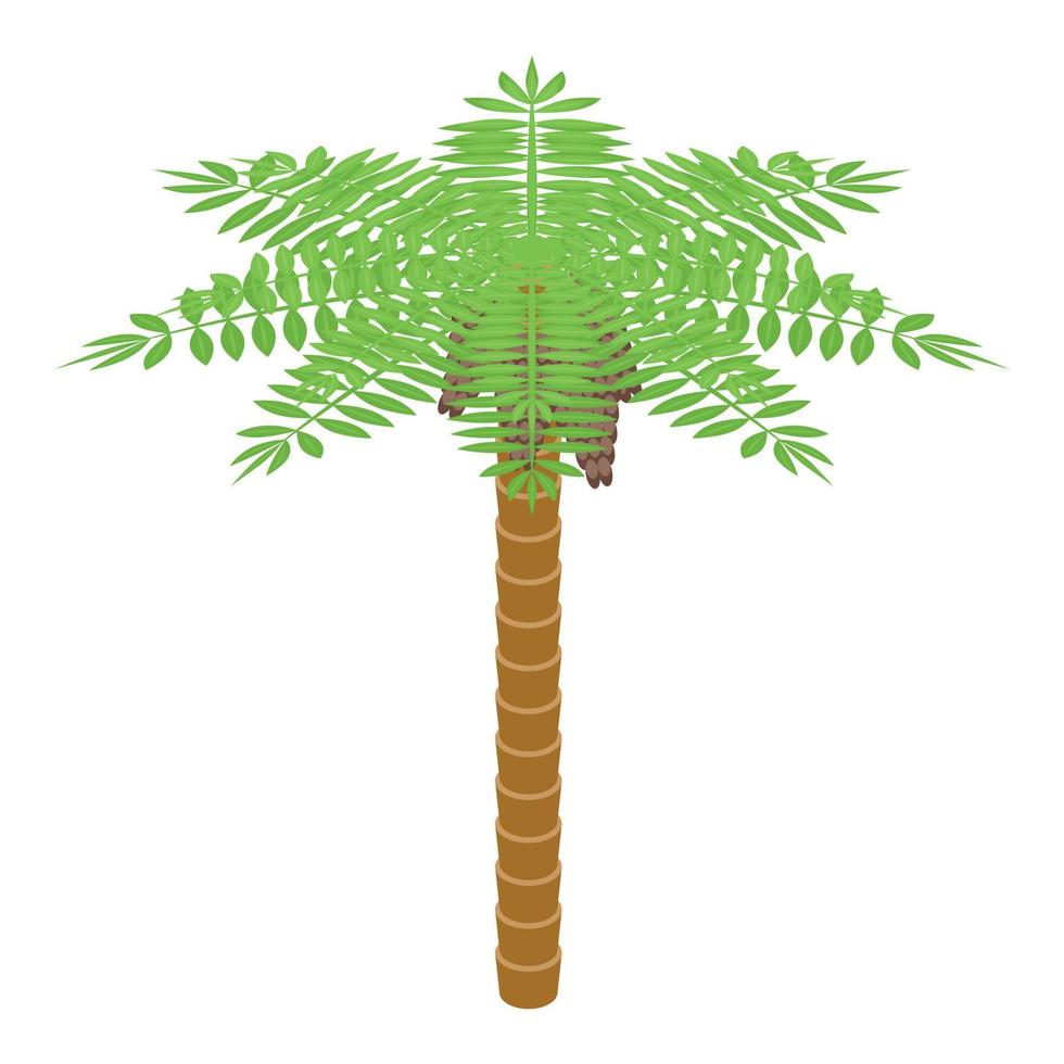 vetor isométrico do ícone da árvore da palma da fruta da data. comida do ramadã