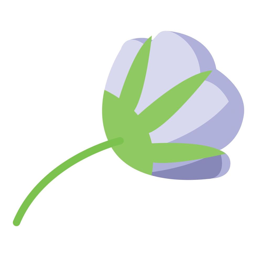 vetor isométrico de ícone de planta de algodão. flor macia