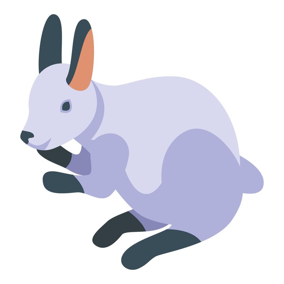 vetor isométrico do ícone do coelho do mamífero. animal holandês