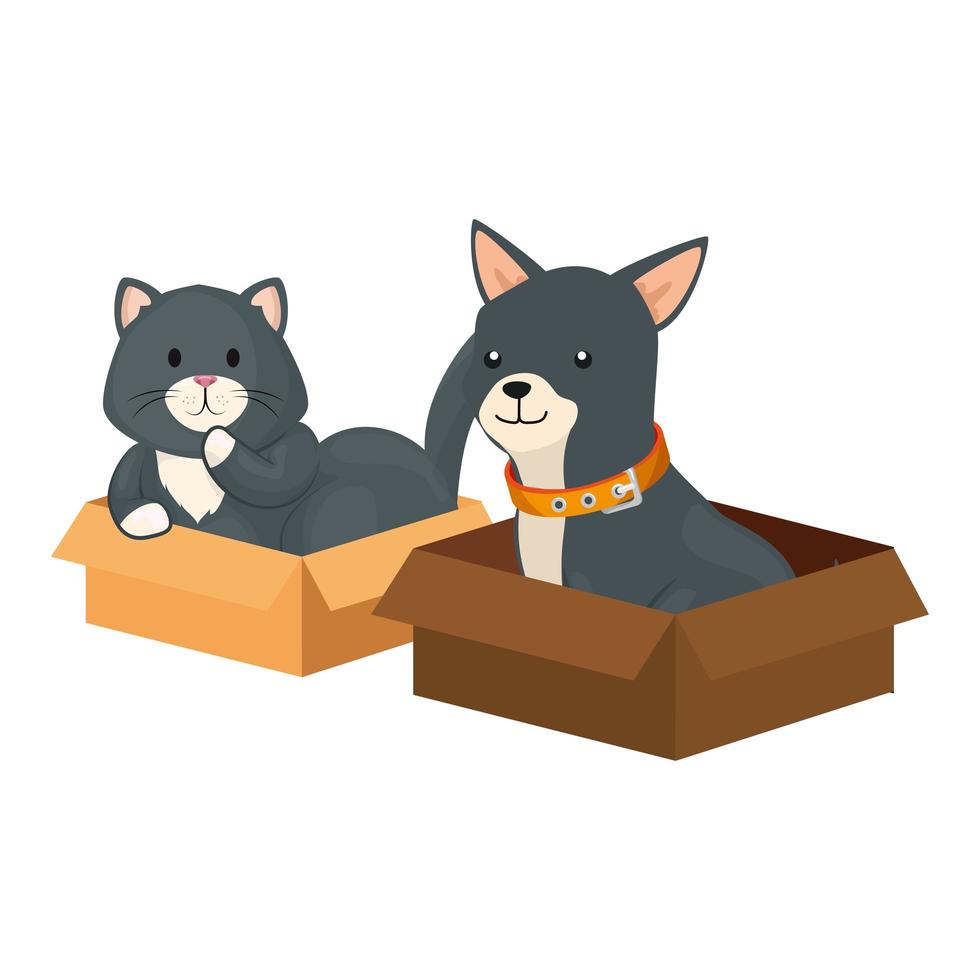 gato e cachorro fofos em caixas de papelão vetor