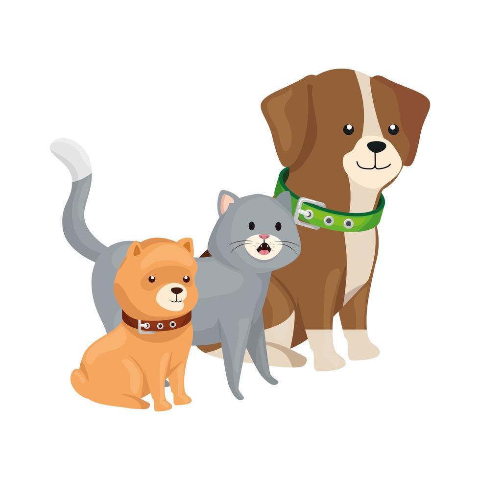 ícone de animais isolados de gatos e cachorros fofos vetor