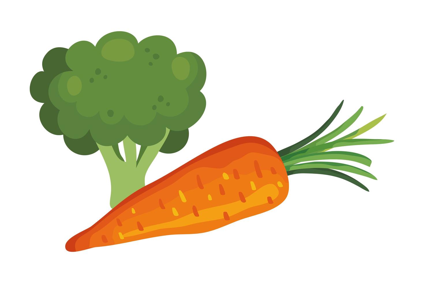 cenoura fresca com vegetais de brócolis vetor
