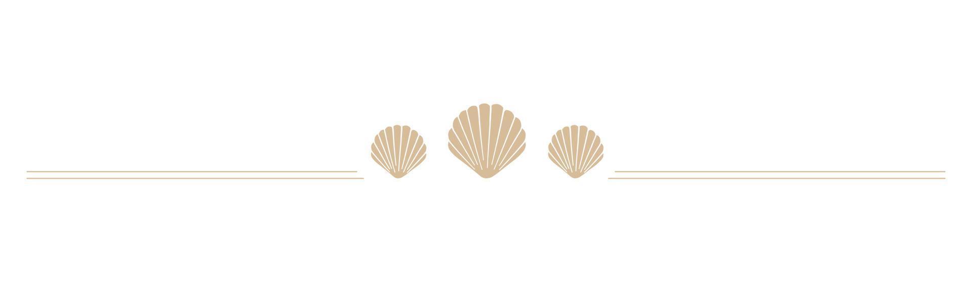 divisor de borda de vieiras de conchas. modelo de design de mar e oceano. ilustração vetorial verão ou festa na praia, design de publicidade vetor