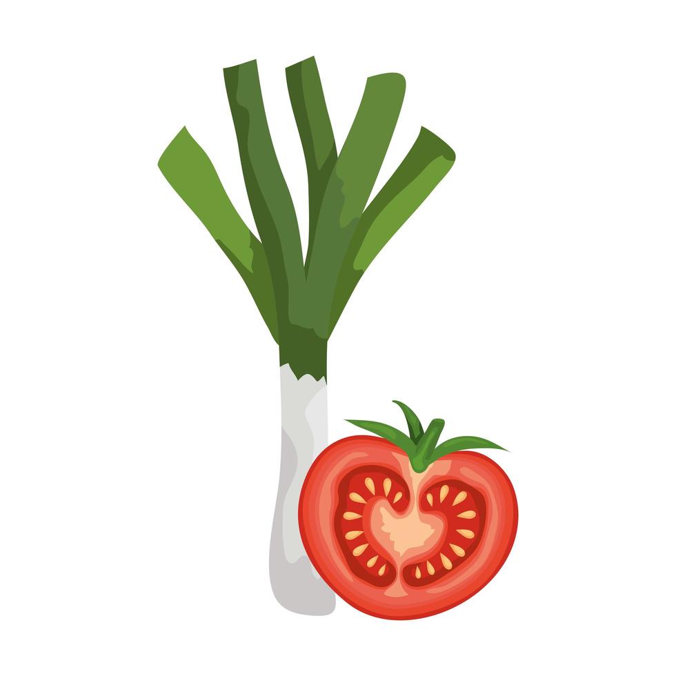tomate fresco com alho-poró vetor
