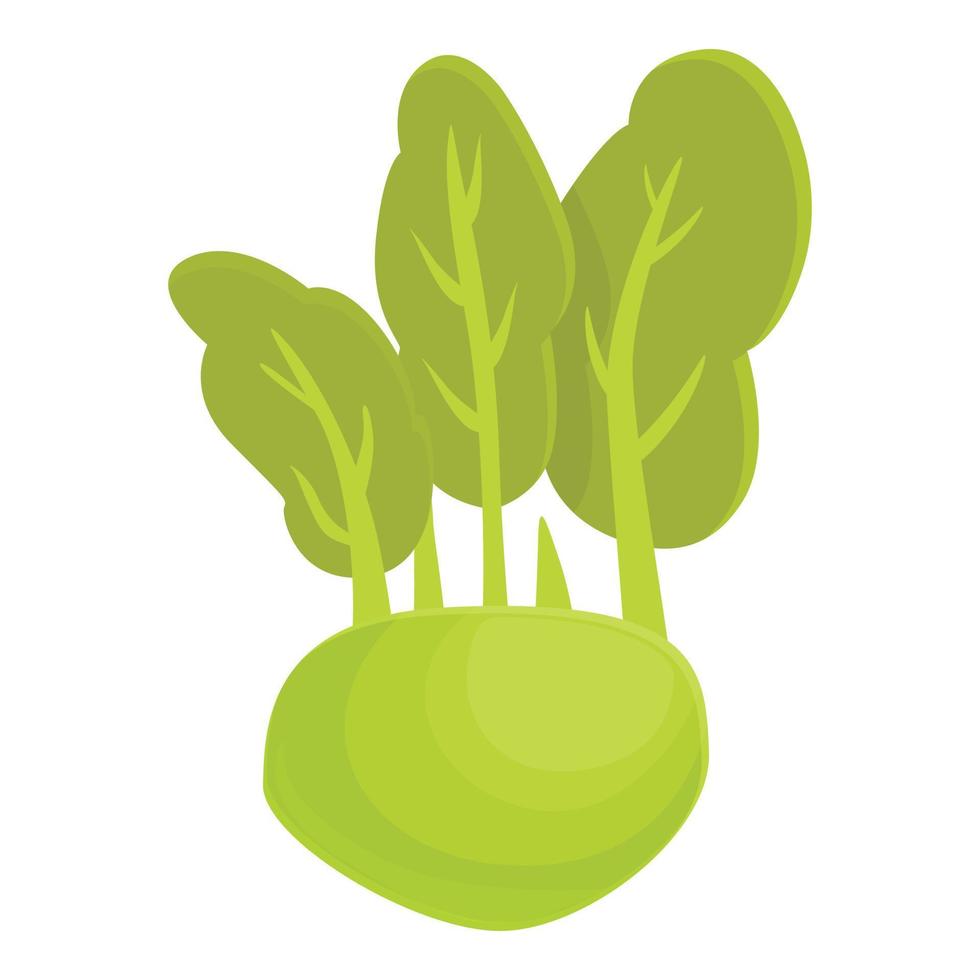 vetor de desenhos animados de ícone de couve-rábano vegetariano. comida saudável