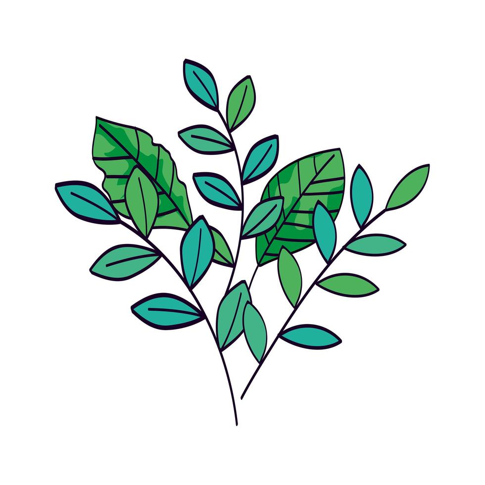 ramos com folhas naturais ícone isolado vetor