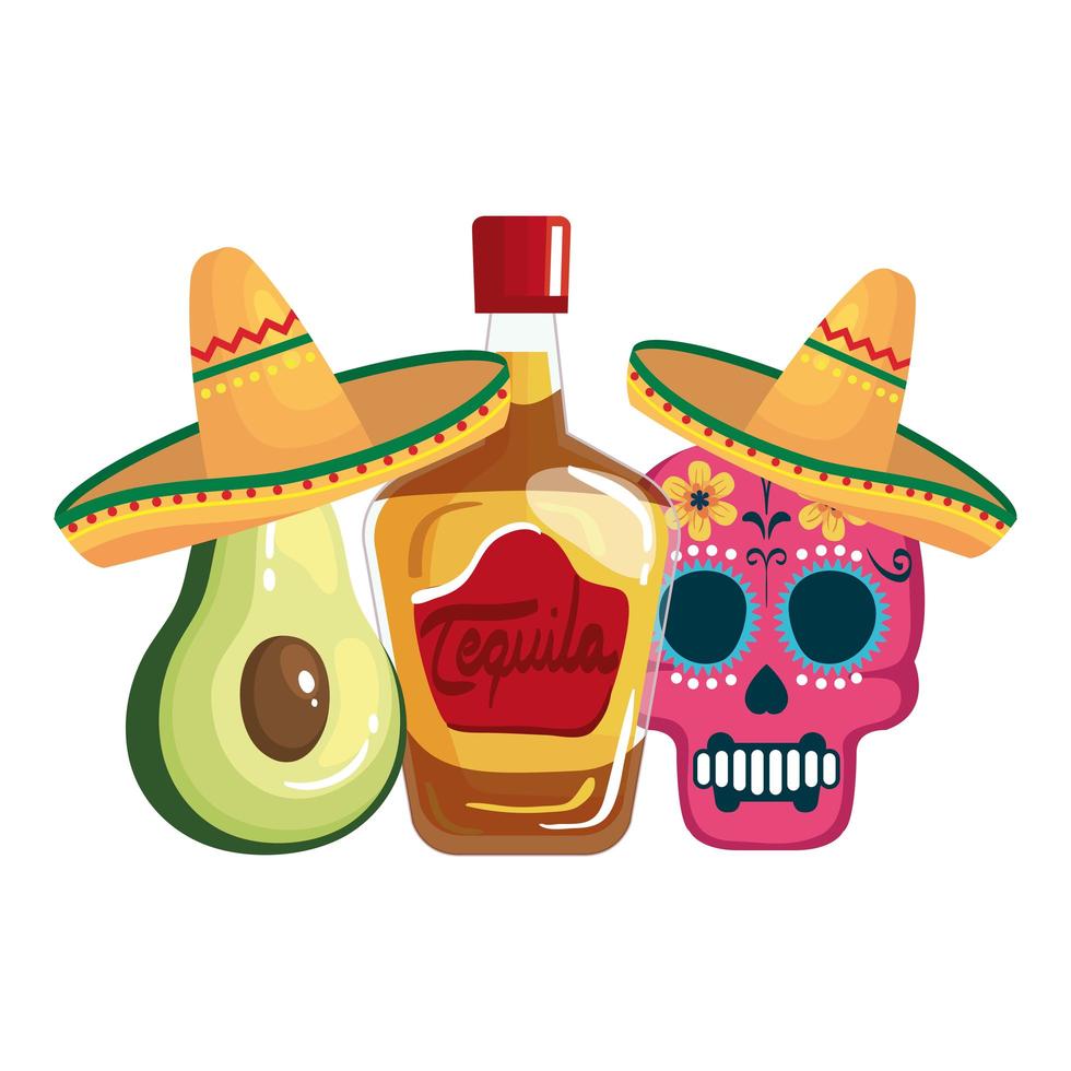 Abacate e caveira com tequila mexicana isolada com desenho vetorial de chapéus vetor