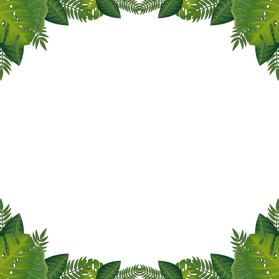 quadro de ícone isolado da natureza de folhas vetor