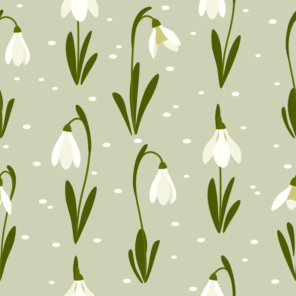 flor de snowdrops sem costura padrão em fundo verde primavera. imprimir para seu projeto. ilustração vetorial. vetor