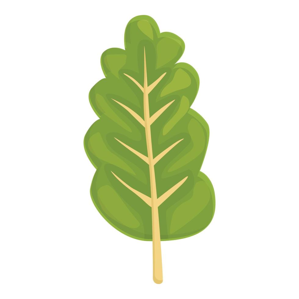 vetor de desenhos animados de ícone de acelga. planta verde