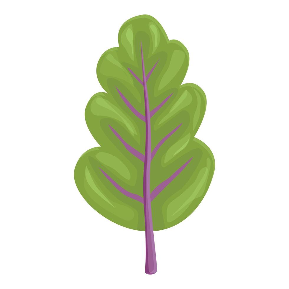 vetor de desenhos animados de ícone de planta de acelga. salada verde