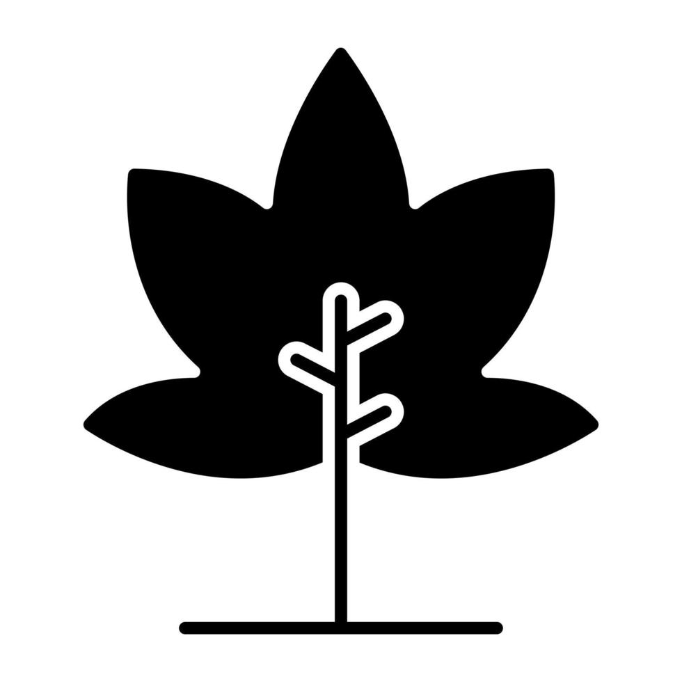 ícone de design editável de folha de plátano vetor