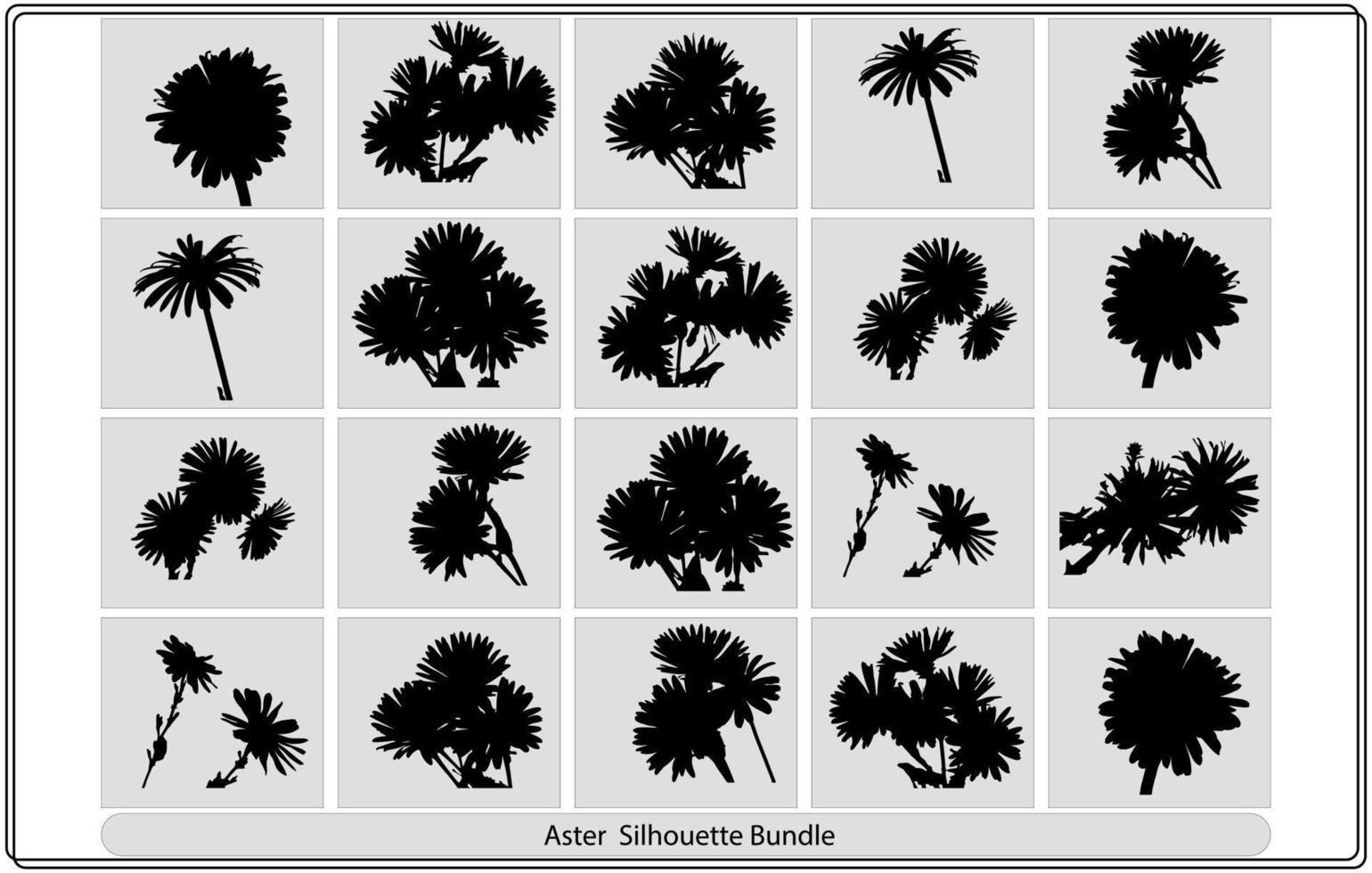 coleção de pacotes de vetores de silhueta de flor áster