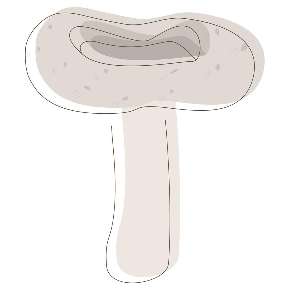 cogumelo russula delica. cogumelos orgânicos comestíveis. Brigadeiro. tipos de cogumelos selvagens da floresta. ilustração vetorial colorida isolada no fundo branco. vetor