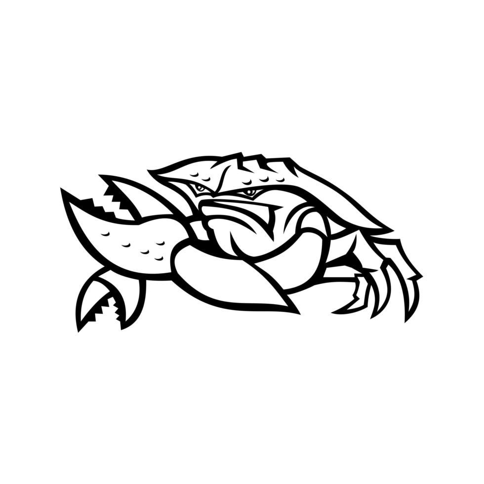 mascote caranguejo-rei vermelho zangado preto e branco vetor