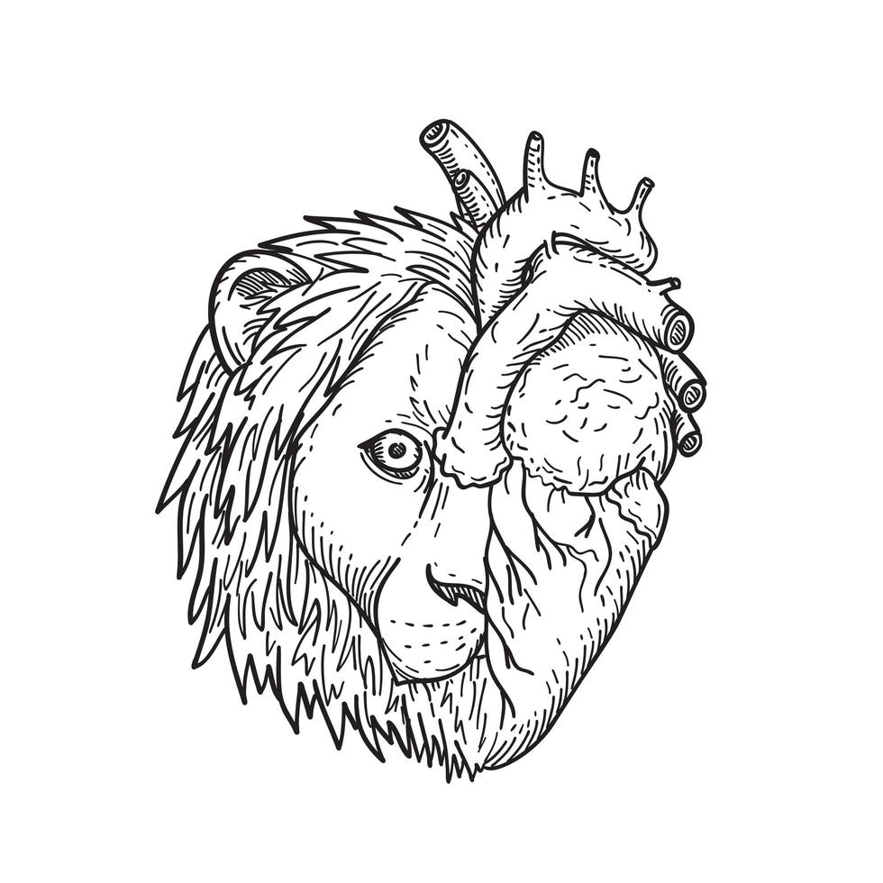 com coração de leão, cabeça meio leão e meio coração humano desenho preto e branco vetor