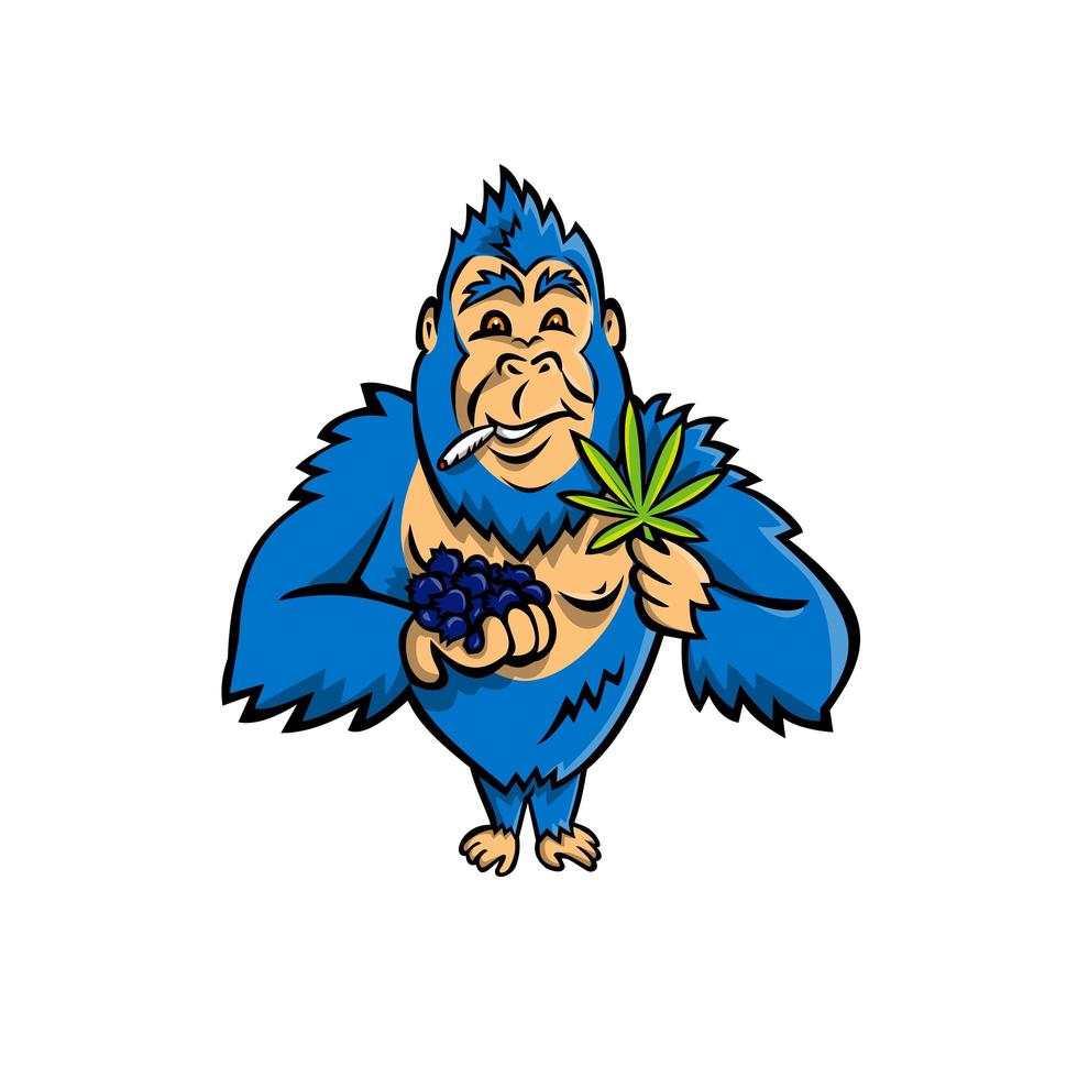 gorila segurando mascote de mirtilo e folha de cannabis vetor