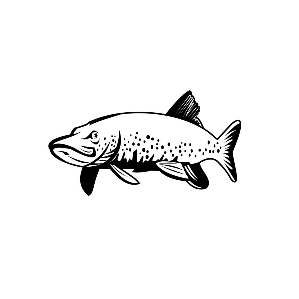 lagos pique do norte pique ou jackfish nadando em preto e branco retrô vetor