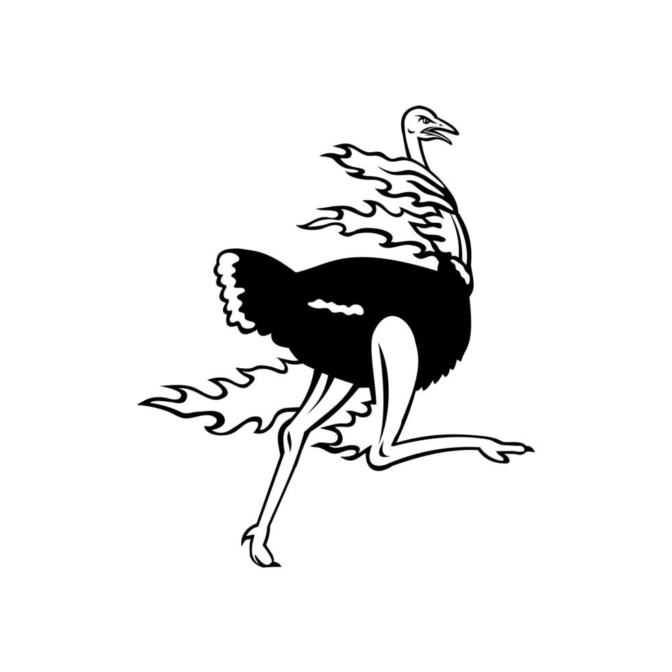 avestruz comum correndo enquanto em chamas visto do mascote lateral preto e branco vetor