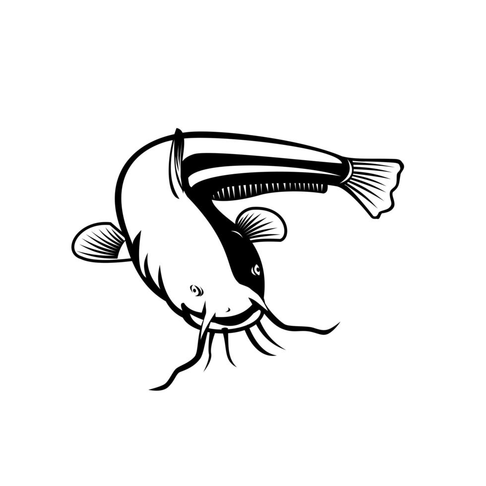 sheatfish ou wels catfish nadando xilogravura retrô preto e branco vetor