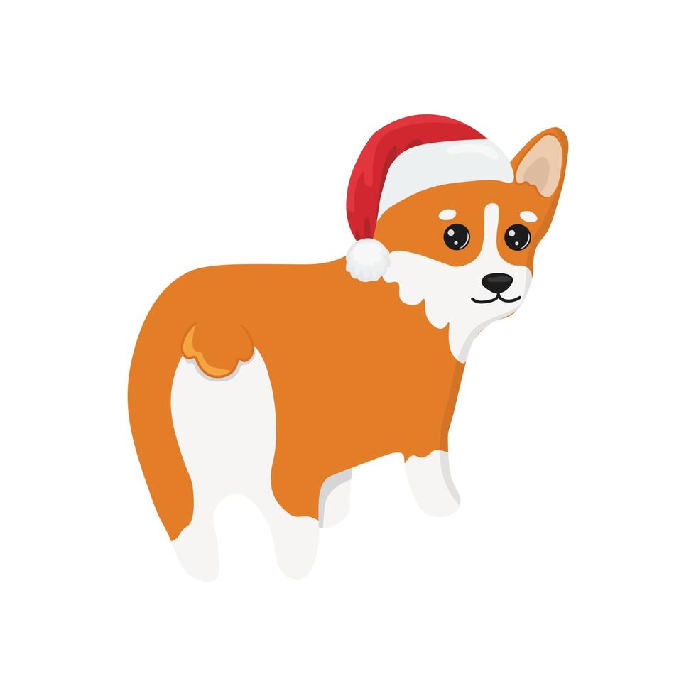 corgi com chapéu de papai noel. ilustração de desenhos animados de vetor de cão corgi. filhote de cachorro bonito e amigável welsh corgi, isolado no fundo branco.