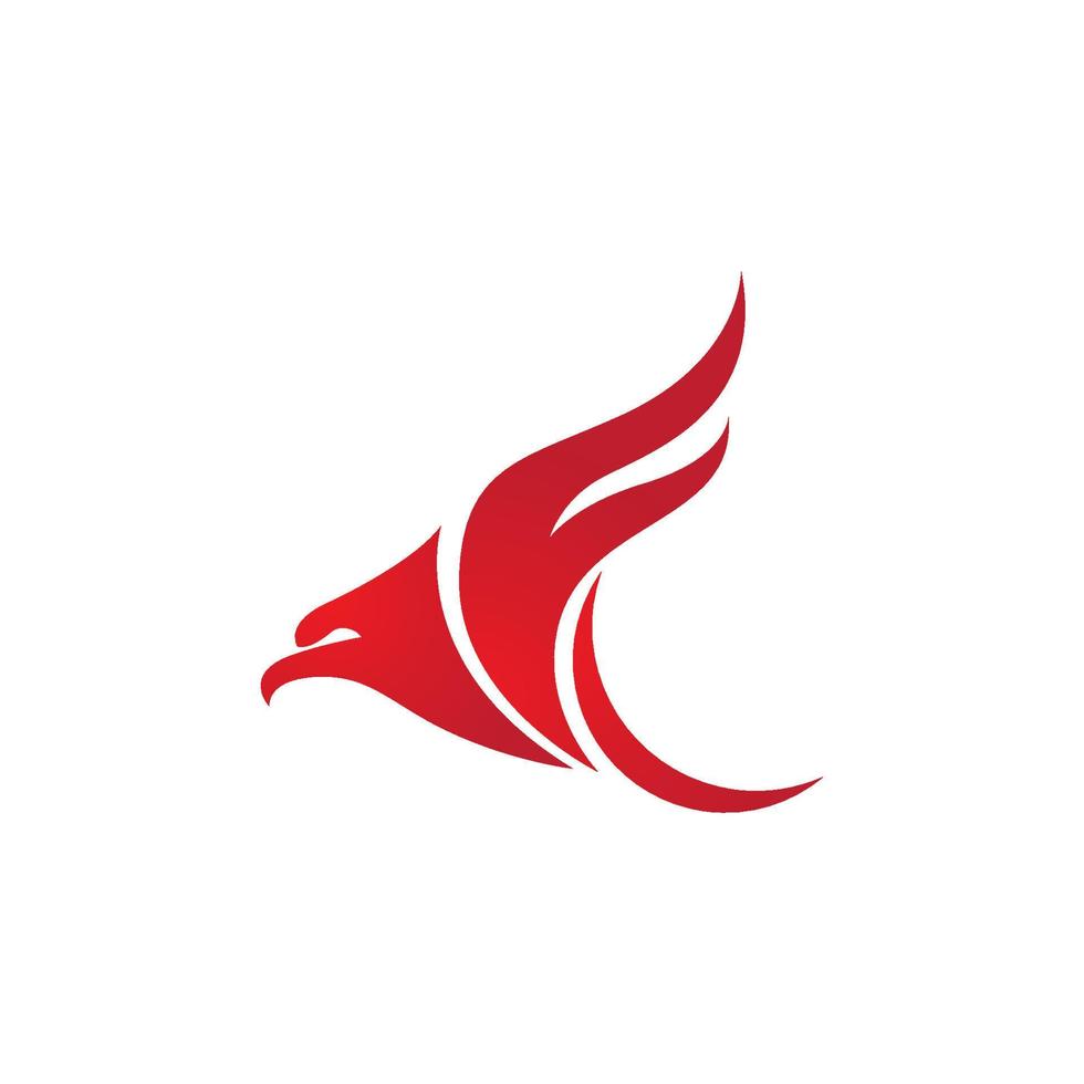 falcon logo template vector