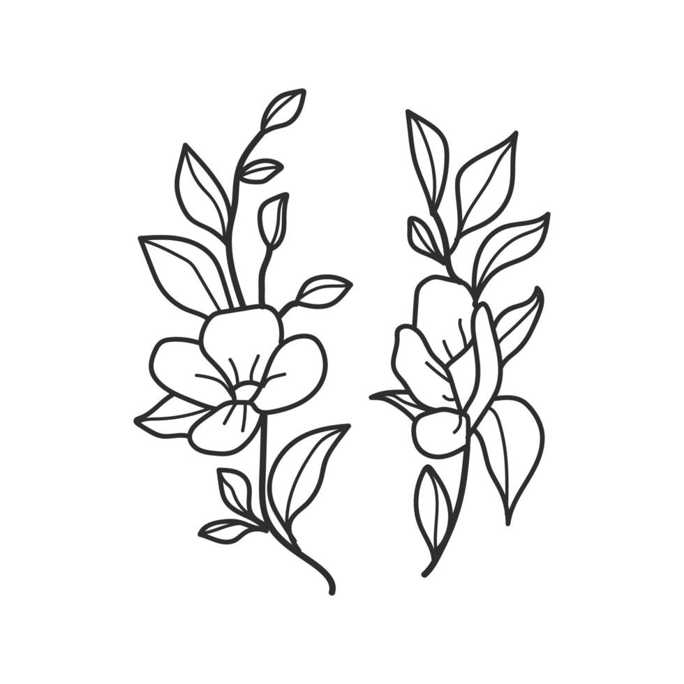 coleção floresta samambaia eucalipto arte folhagem folhas naturais ervas em estilo de linha. ilustração elegante de beleza decorativa para flor desenhada à mão vetor