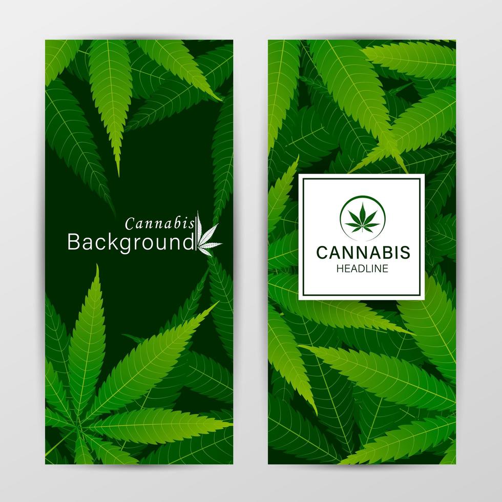 conjunto de modelos de capa de vetor com folhas de cannabis