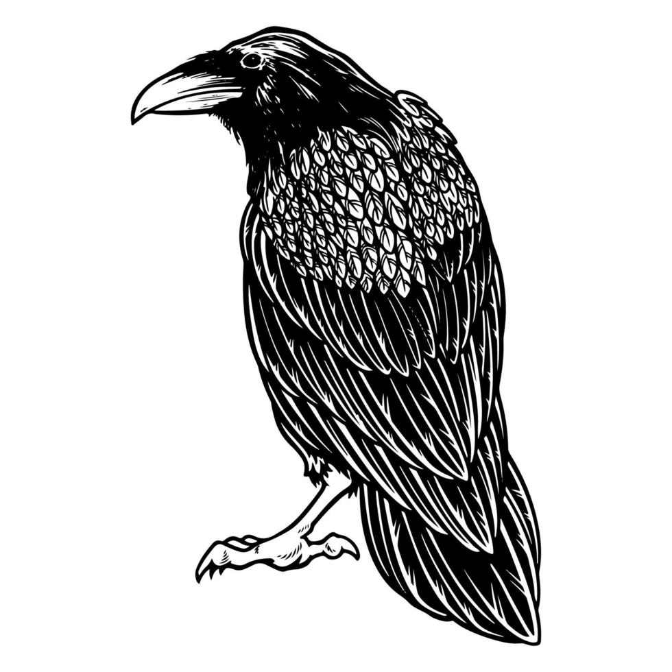 corvo preto malvado para tatuagem de tema de halloween e design de t-shirt. vetor