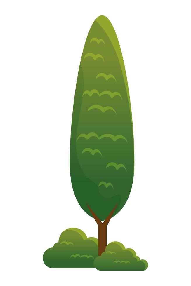 ícone isolado de planta de árvore vetor