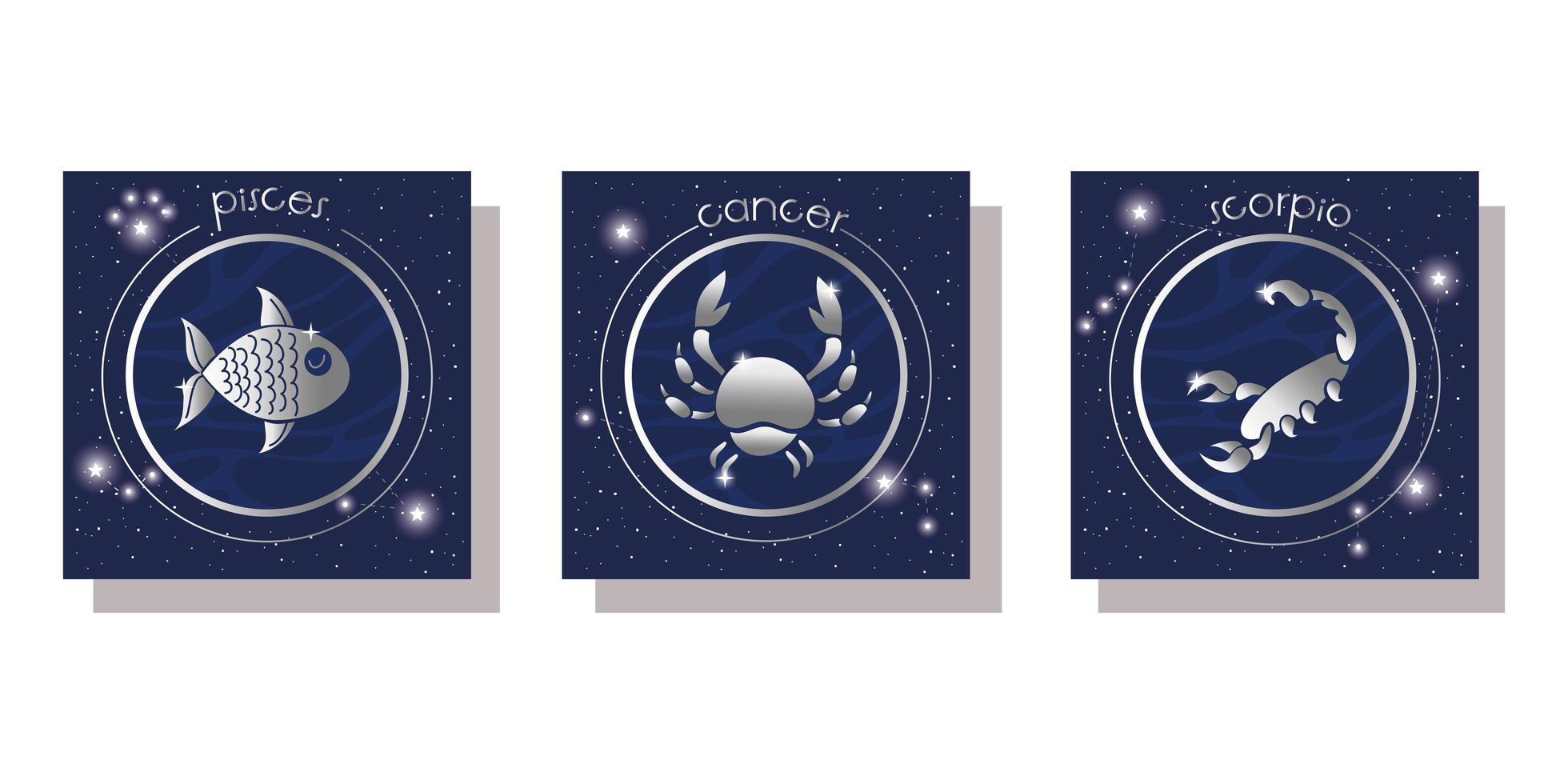 conjunto de ícones de signos do zodíaco vetor