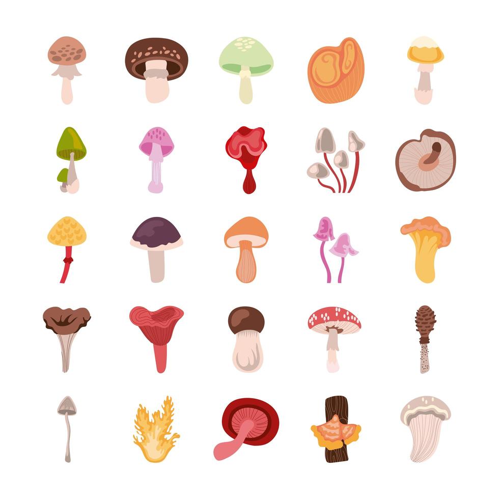conjunto de ícones de fungo e cogumelo vetor