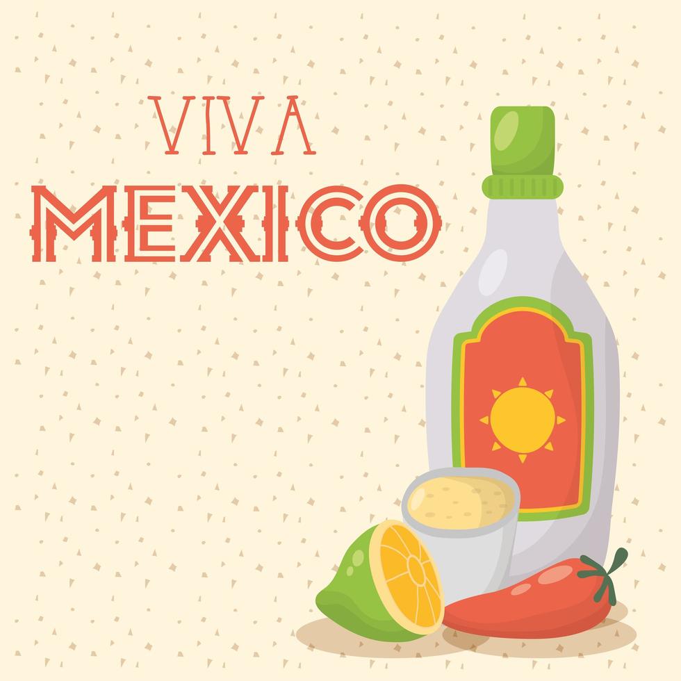 celebração viva mexico com garrafa de tequila vetor
