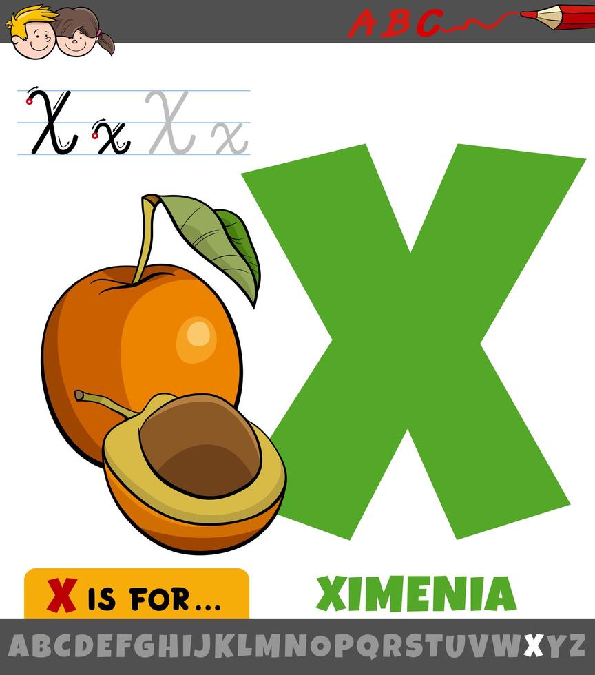 planilha letra x com desenho ximenia fruta vetor