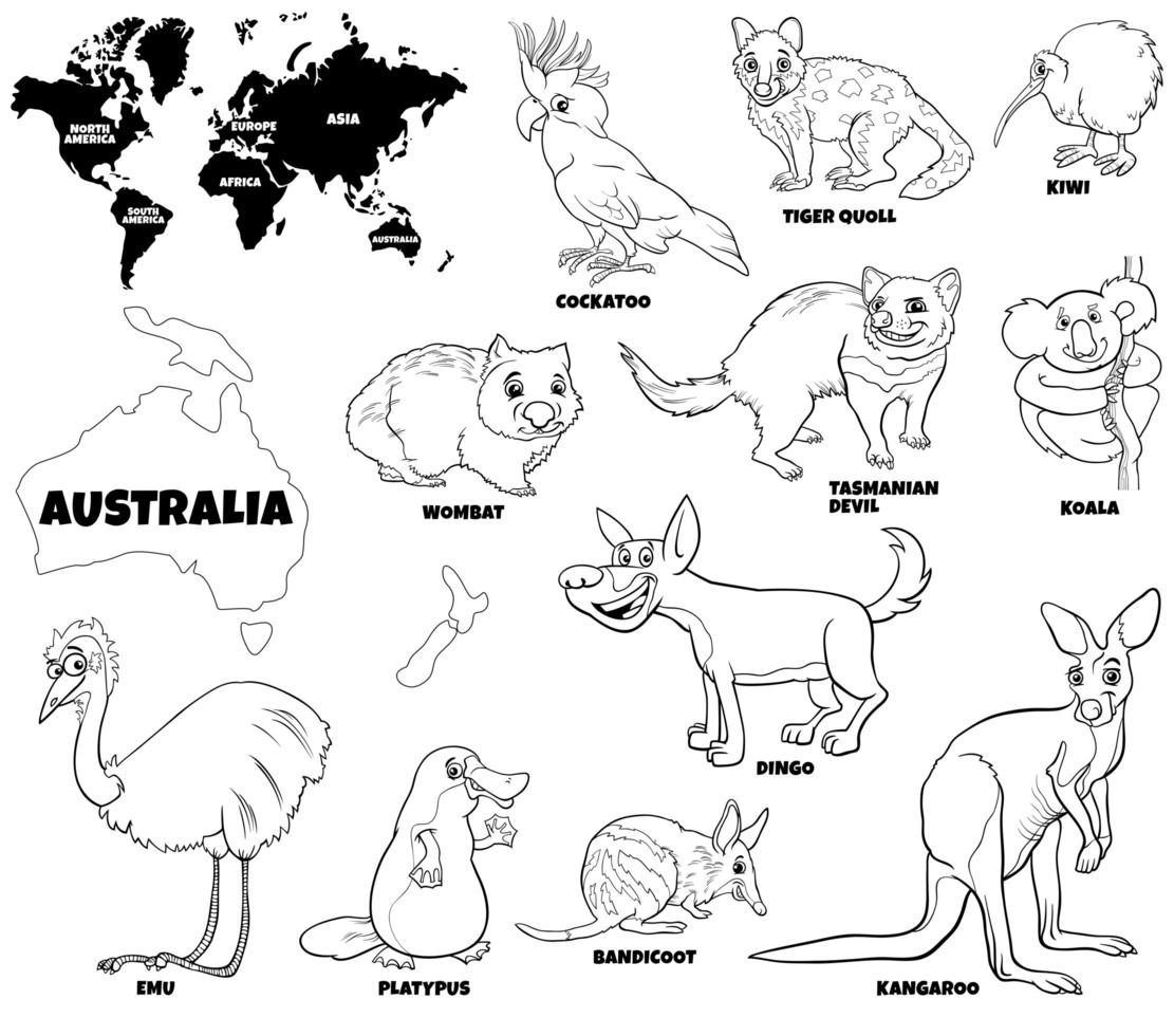 ilustração educacional da página do livro colorido de animais australianos vetor