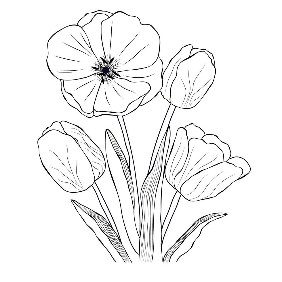 coleção de ilustração de imagens de desenho de arte de linha de tulipa desenhada à mão vetor