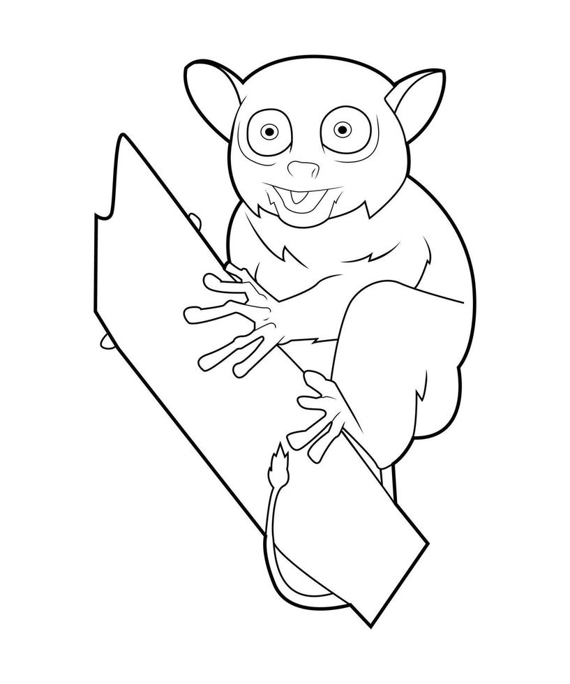 ilustração vetorial de coala vetor