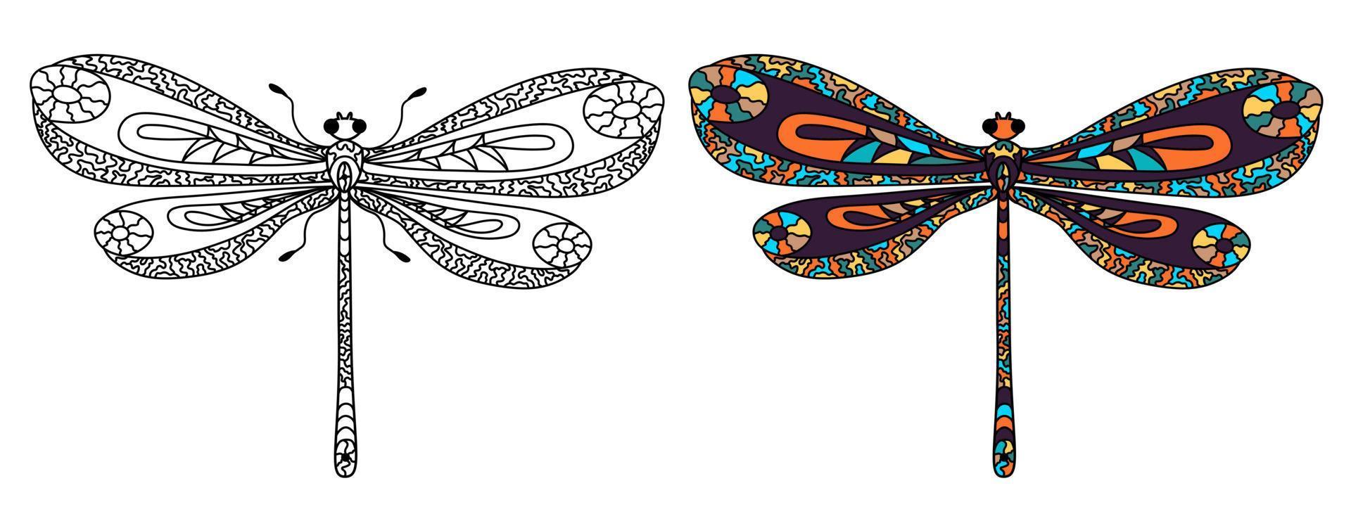 definir libélulas. página para colorir para adultos antiestresse em estilo zentangle. vetor