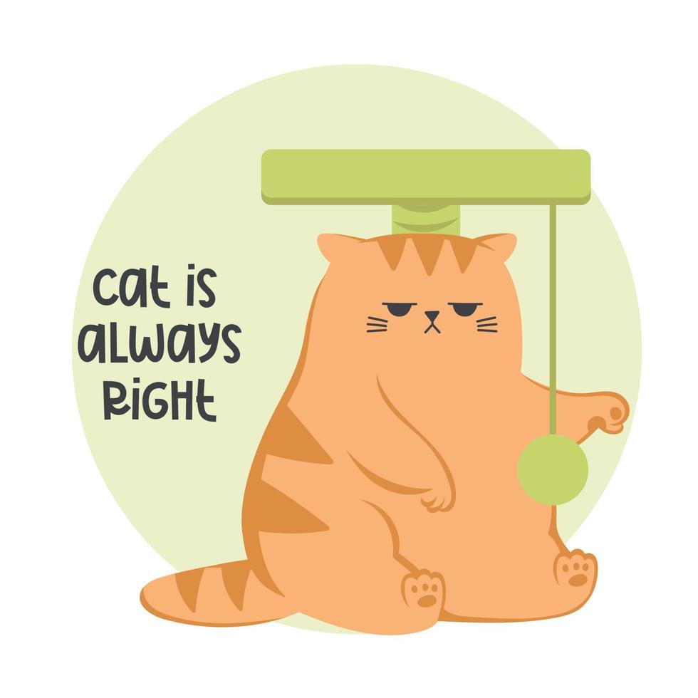 bonito gato ruivo mal-humorado engraçado. gato brincando com casa de gato. personagem de gato engraçado bonito dos desenhos animados em poses diferentes. vetor