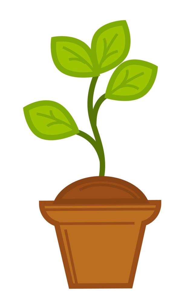 planta crescendo em vaso, flor em vaso ou erva vetor