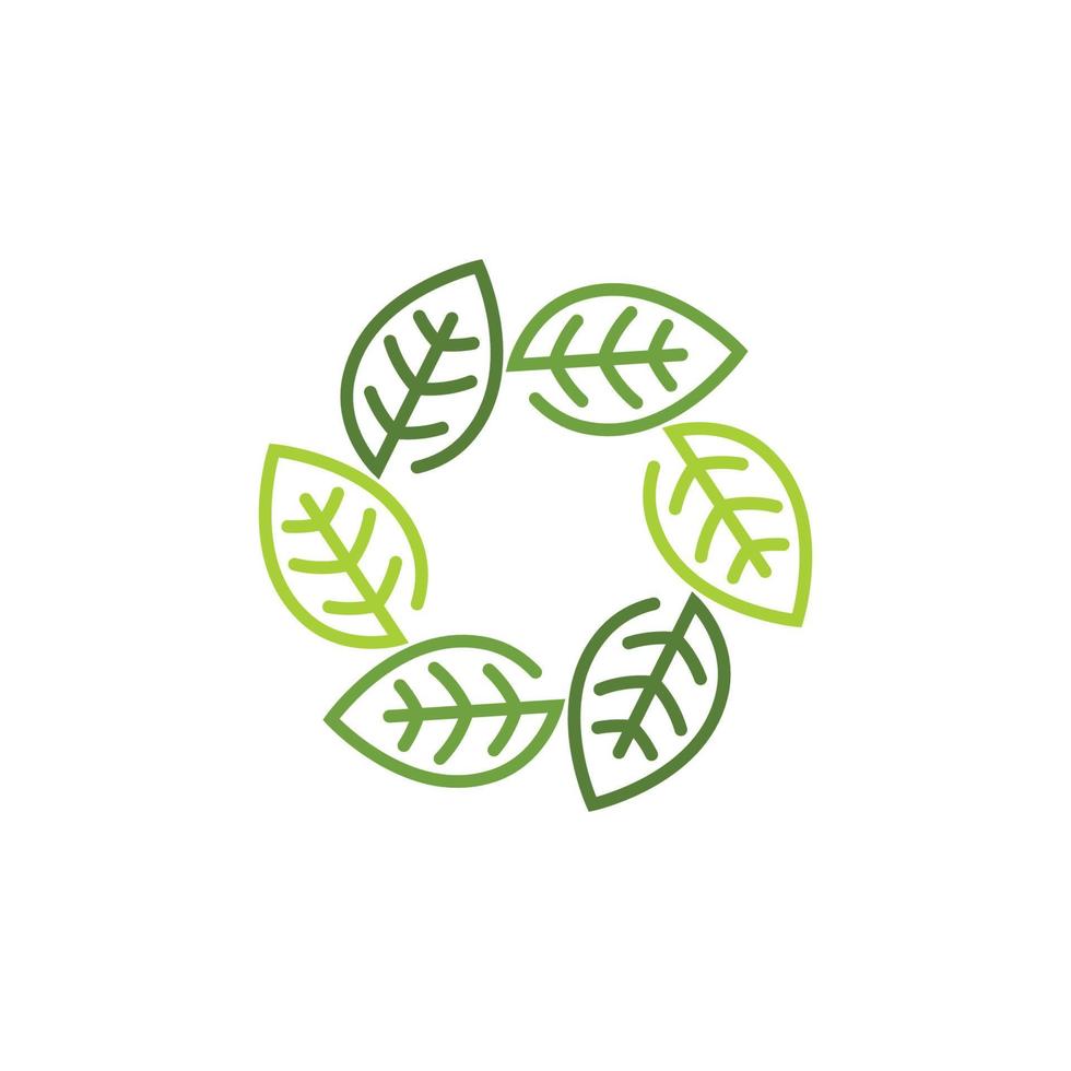 logotipos da ecologia de folhas verdes vetor