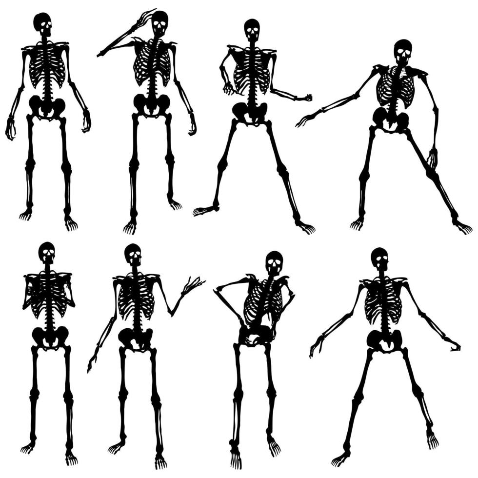 vetor de silhueta de pose de crânio humano e3