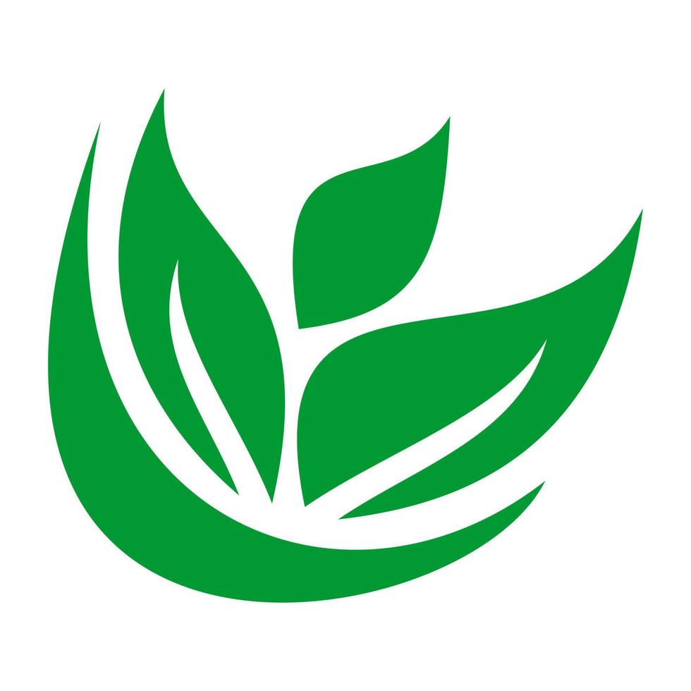 modelo de logotipo de folha de natureza verde. vetor