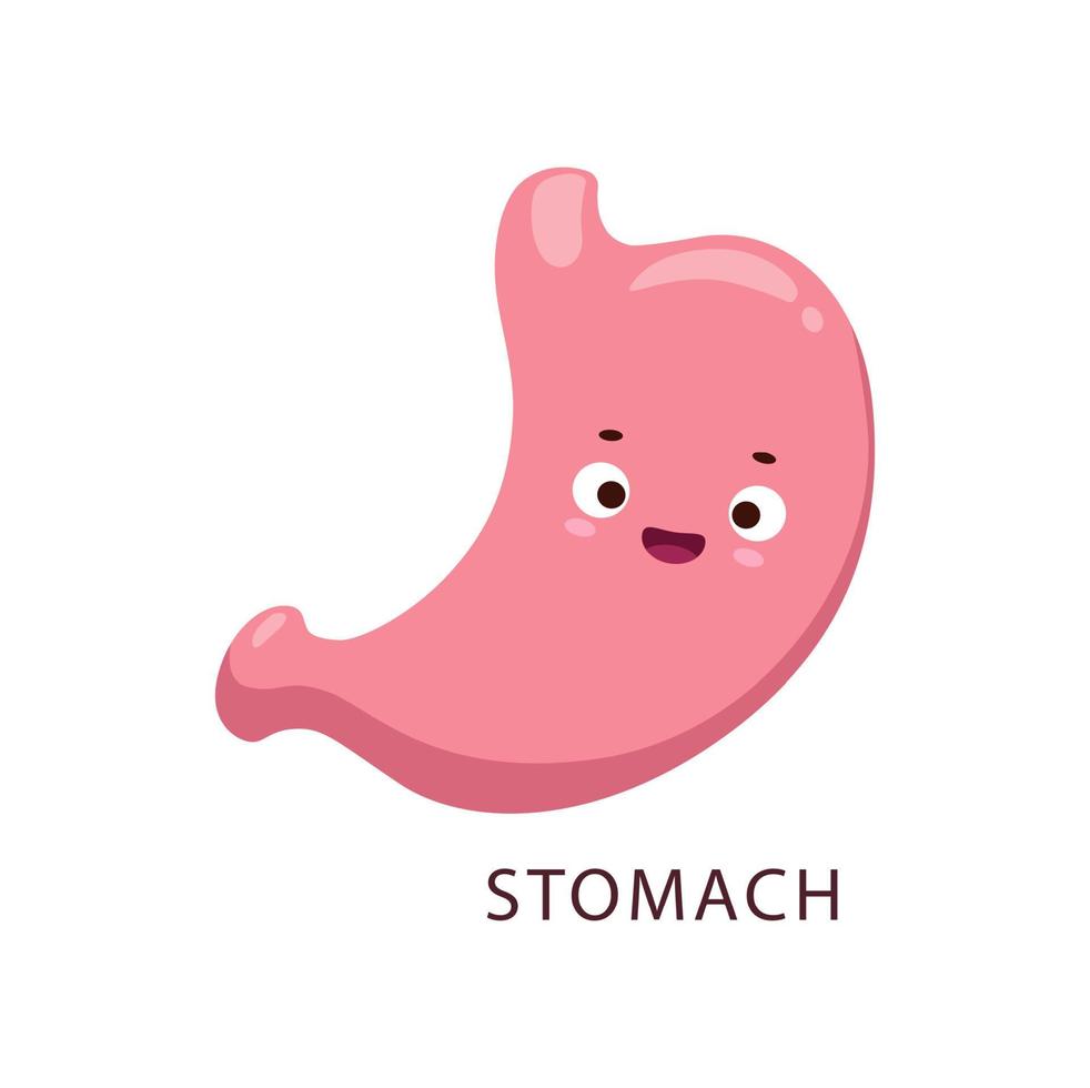 desenho animado estômago corpo humano órgão personagem fofa vetor