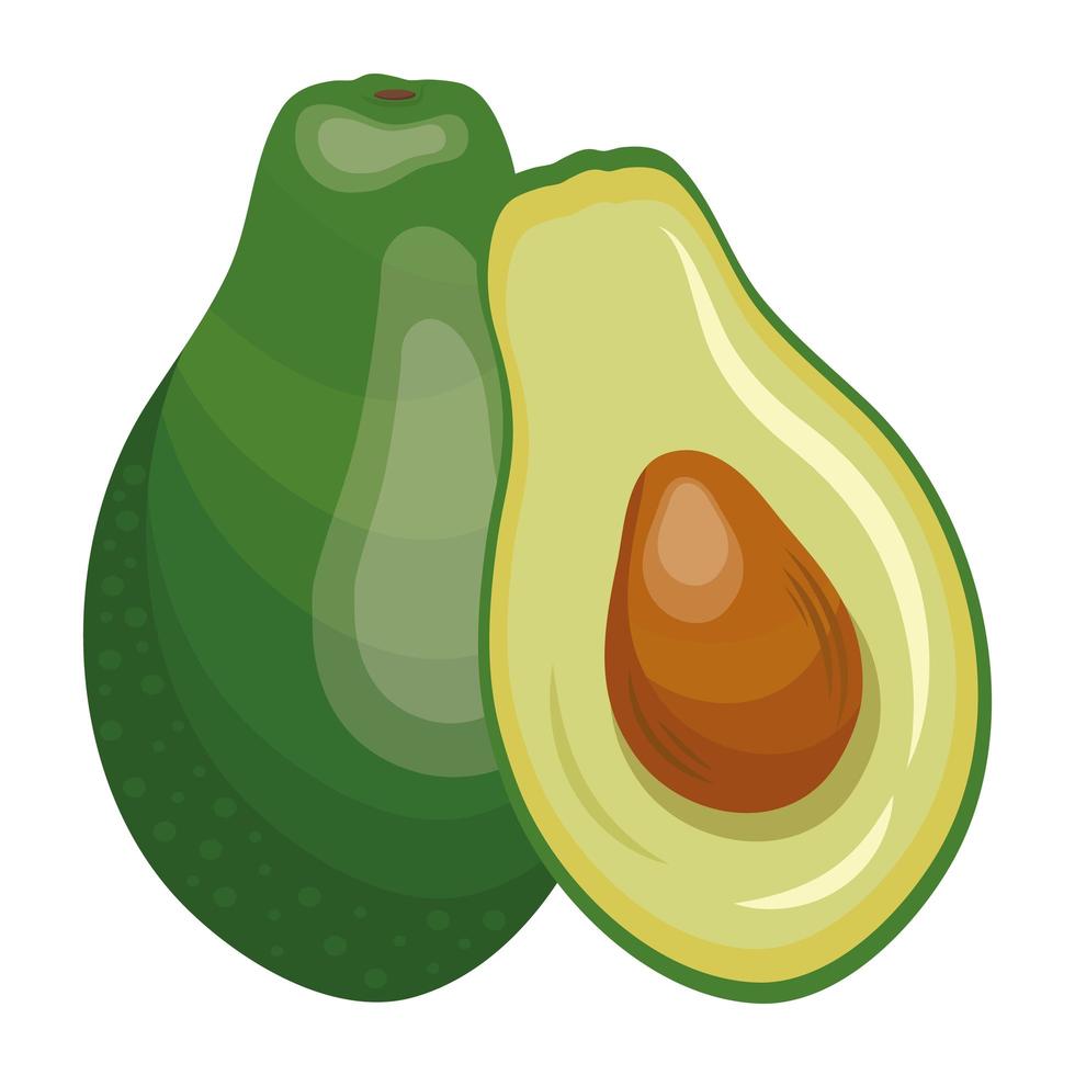 ícone de alimentação saudável de vegetais frescos de abacate vetor