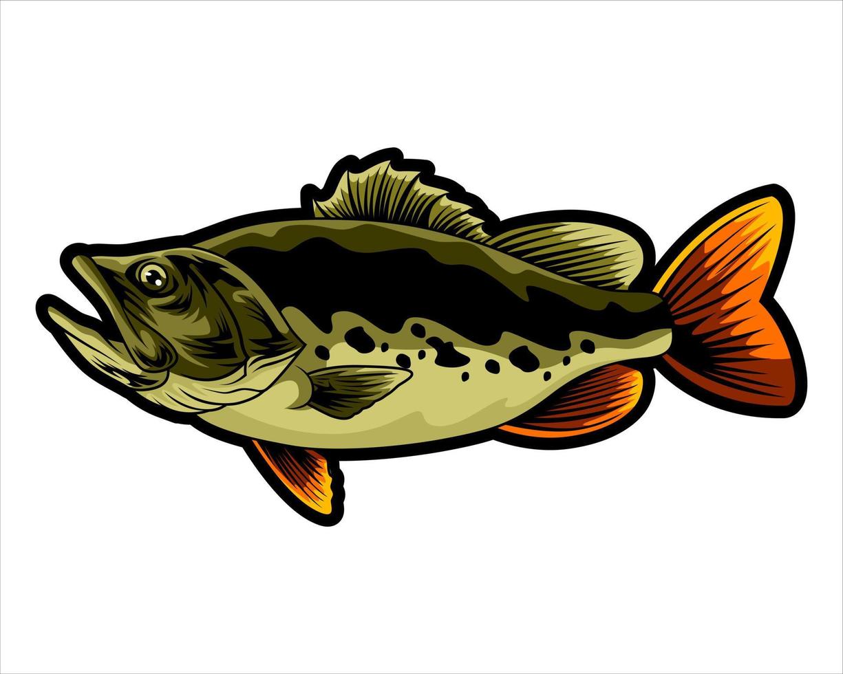 ilustração de design de peixe, pode ser usada para mascote, logotipo, vestuário e muito mais.impressão de design editável vetor
