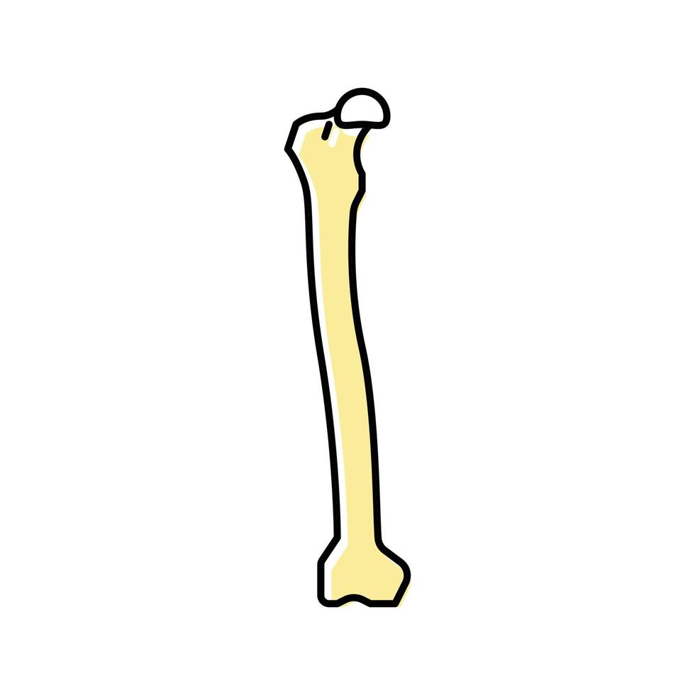 ilustração vetorial de ícone de cor de osso de fêmur vetor