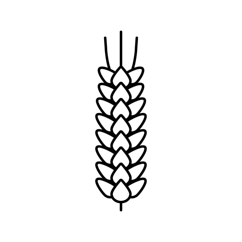 ilustração em vetor ícone de linha de cereais de cevada de orelha