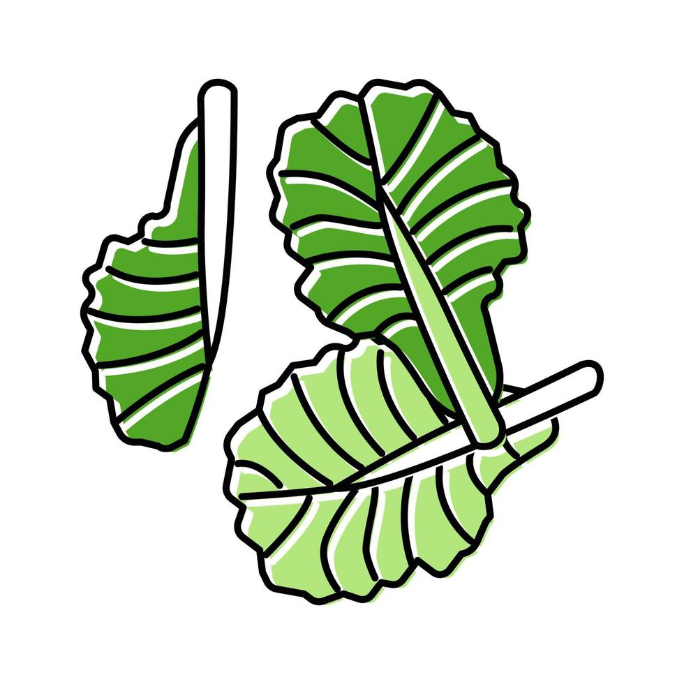ilustração em vetor ícone de cor de corte de comida de fatia de alface