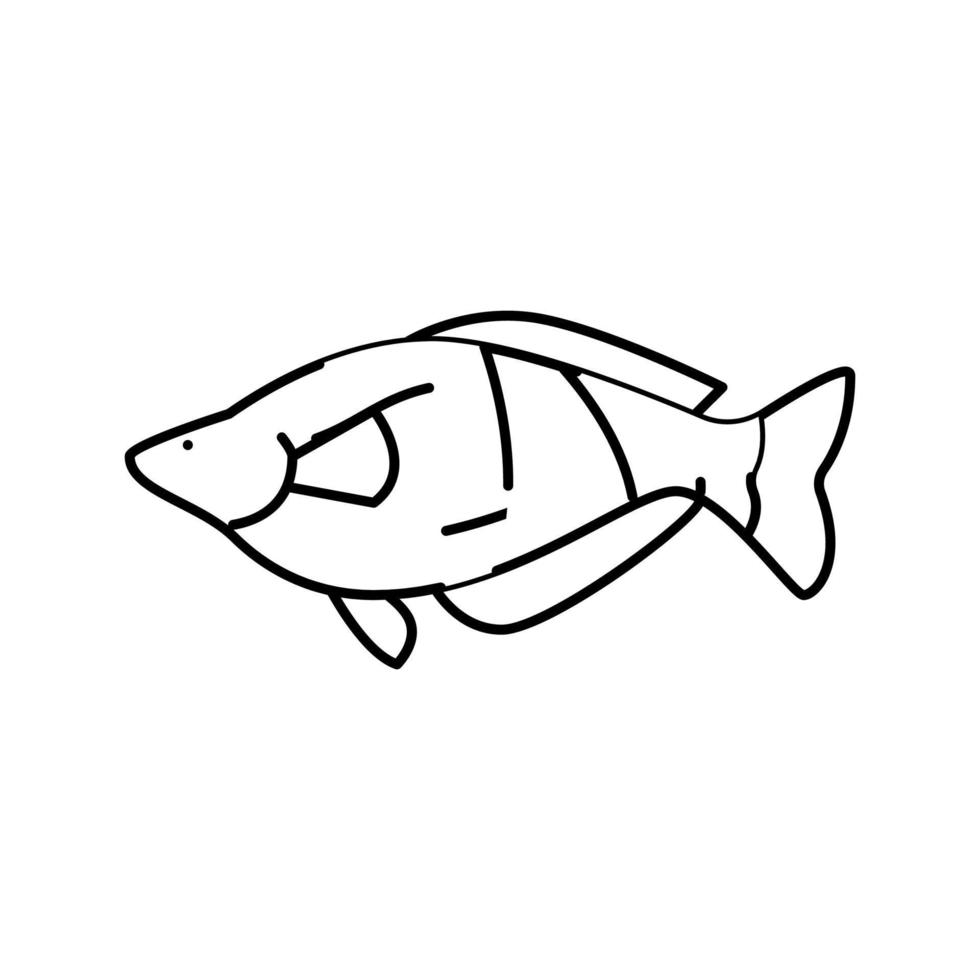 ilustração vetorial de ícone de linha de peixes de aquário de peixe arco-íris vetor